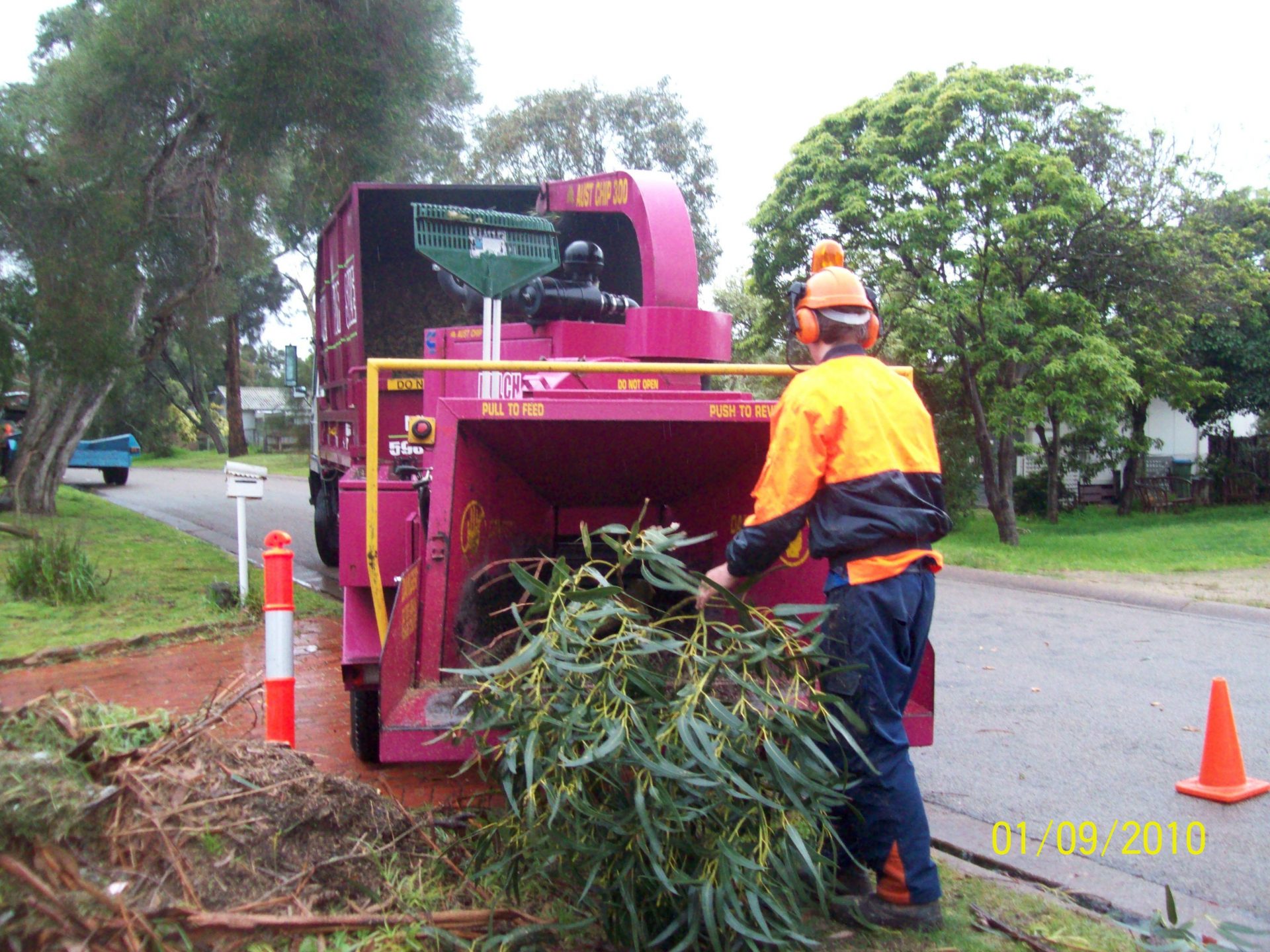 tree removal service - 100 1064