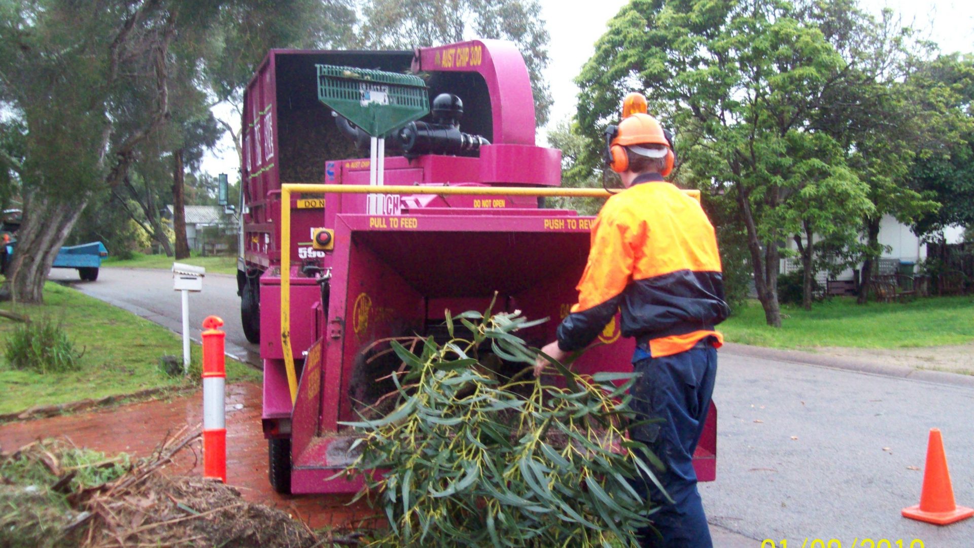 Arborists & Tree Removal in Mornington