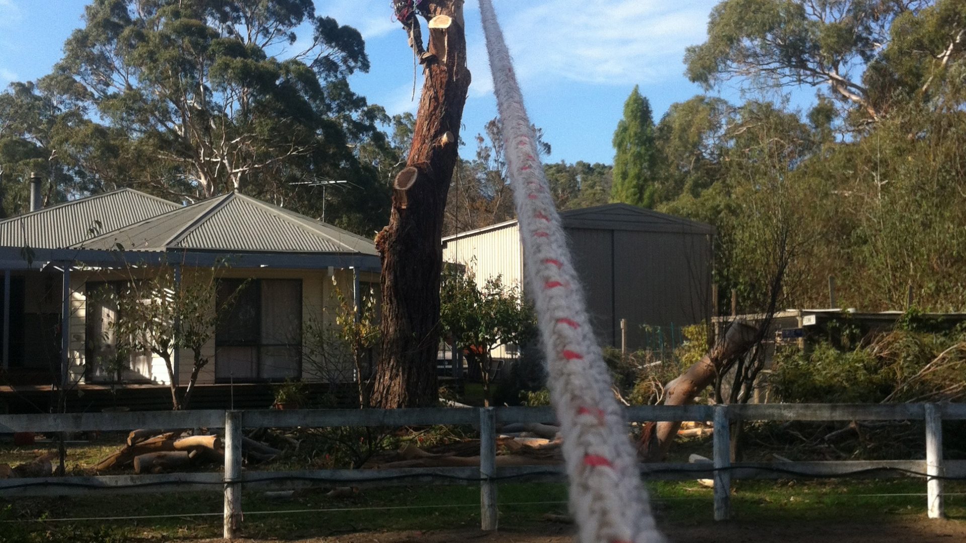Baxter Tree Pruning - Lopping - Tree Removal Service